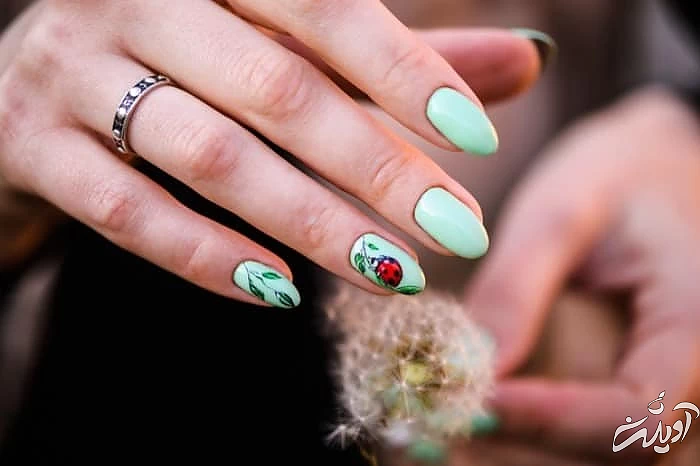 لاک زدن حرفه ای ناخن روش صحیح لاک زدن